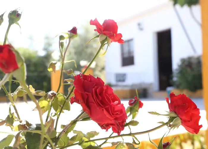 Huerta La Lapa *